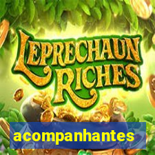 acompanhantes cruzeiro sp